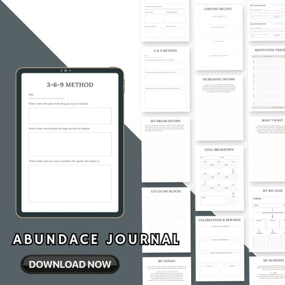 The Abundance Journal