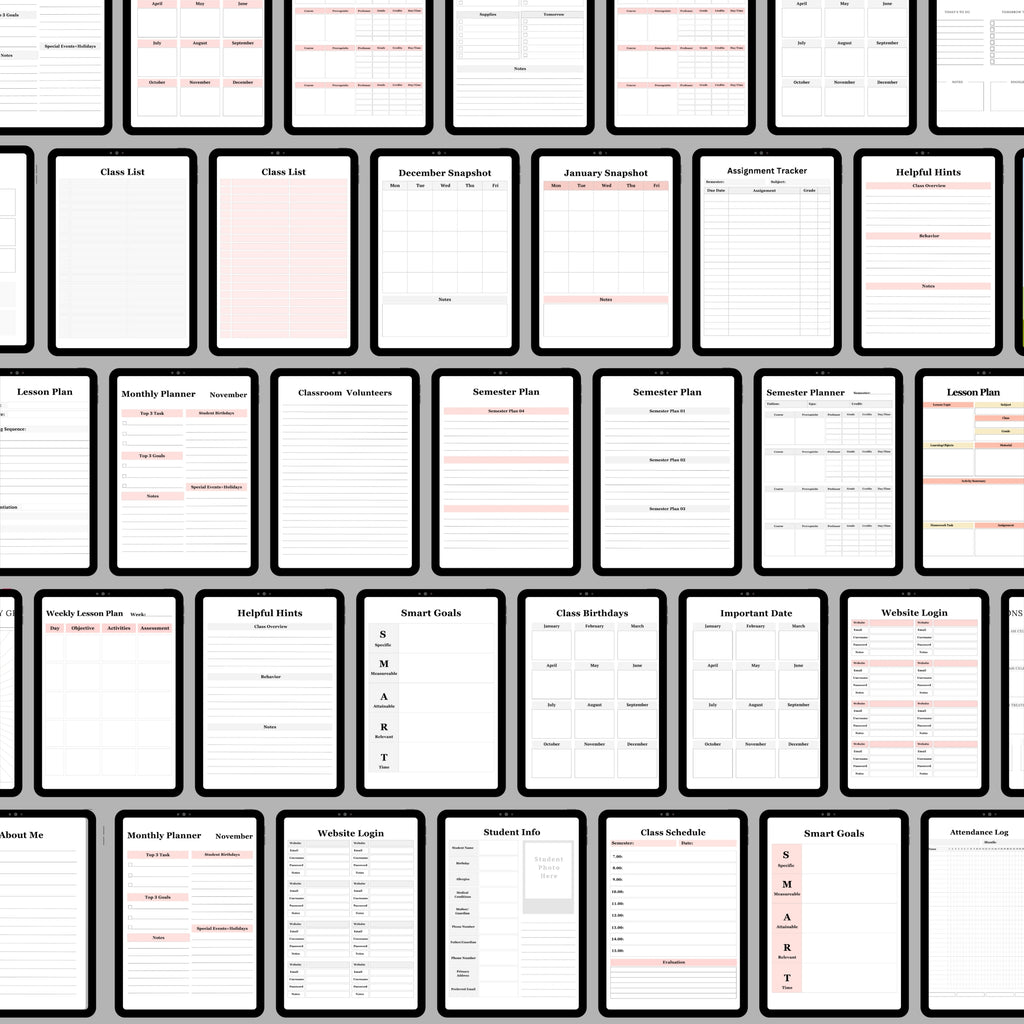 The Teacher Planner Bundle x2 Colors