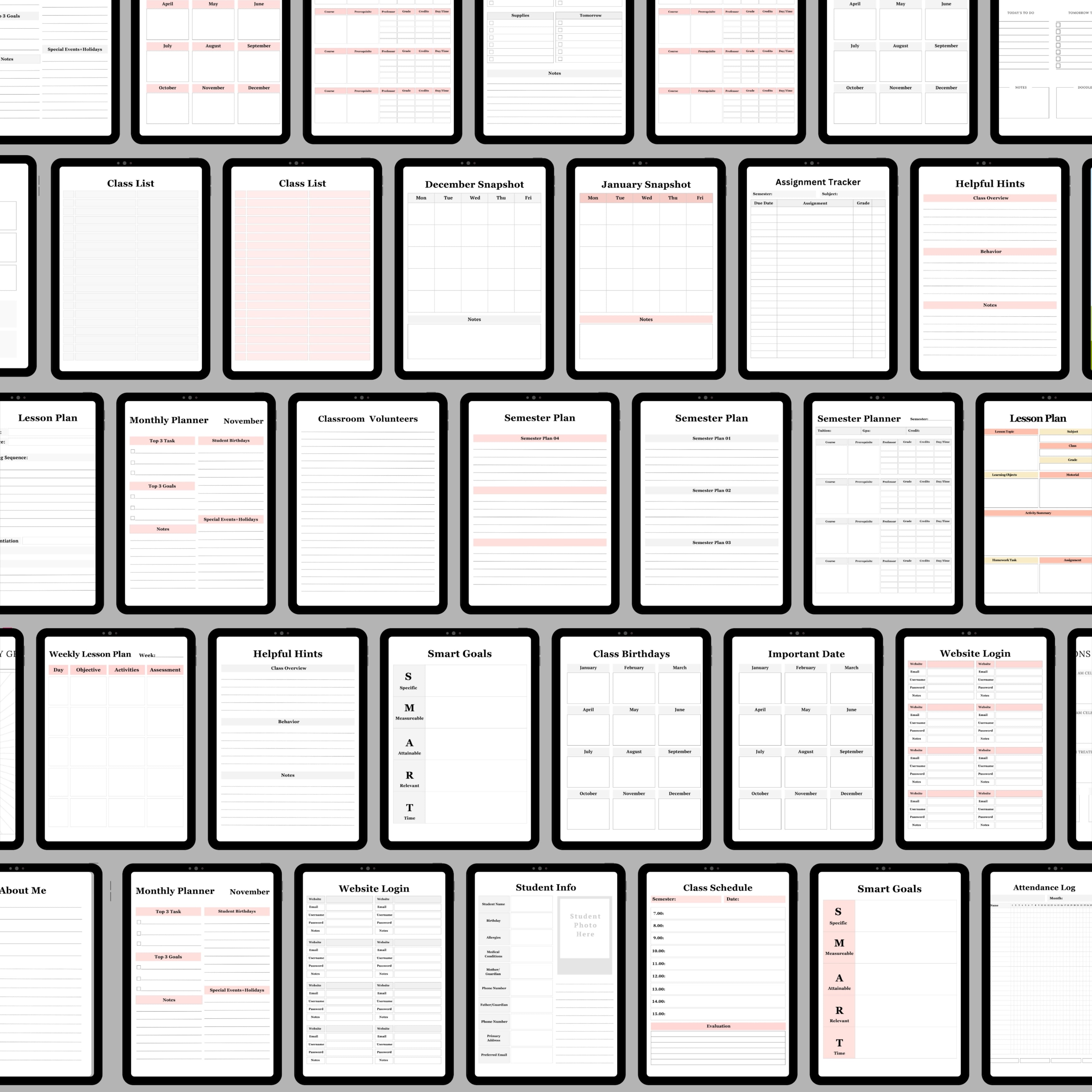 The Teacher Planner Bundle x2 Colors