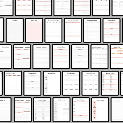 The Teacher Planner Bundle x2 Colors