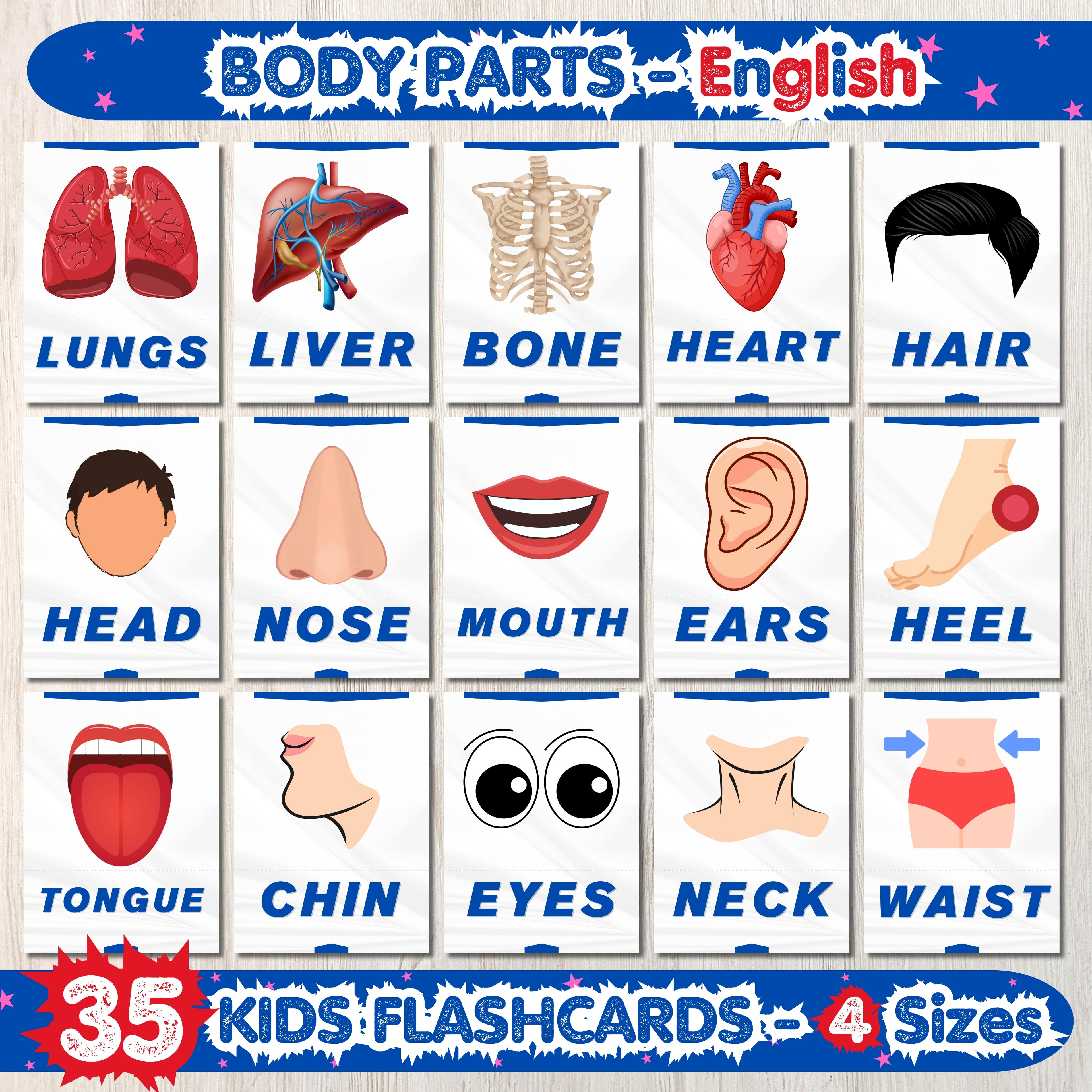 Body Parts Flashcards