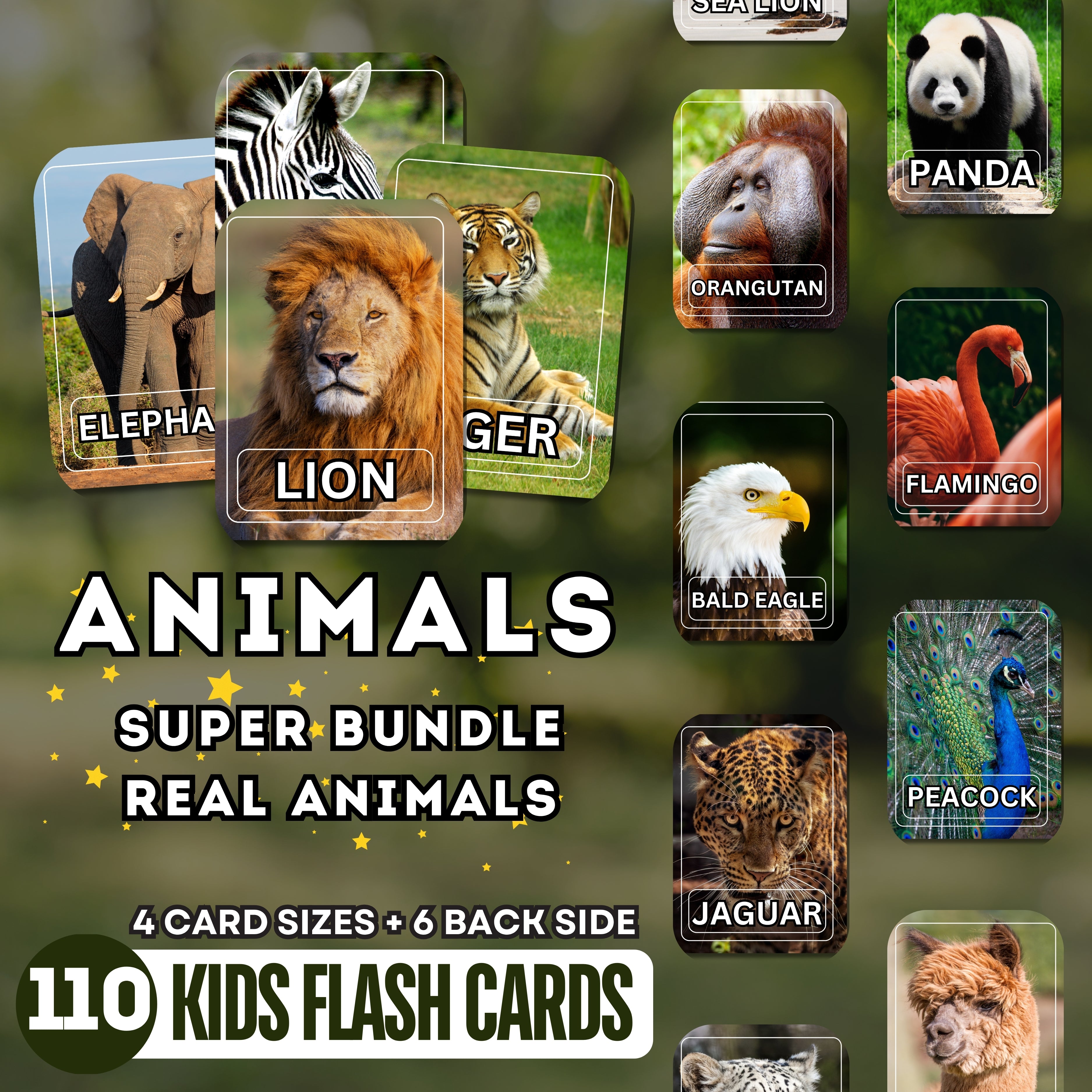 Animals Bundle Flashcards 110 Real Animals