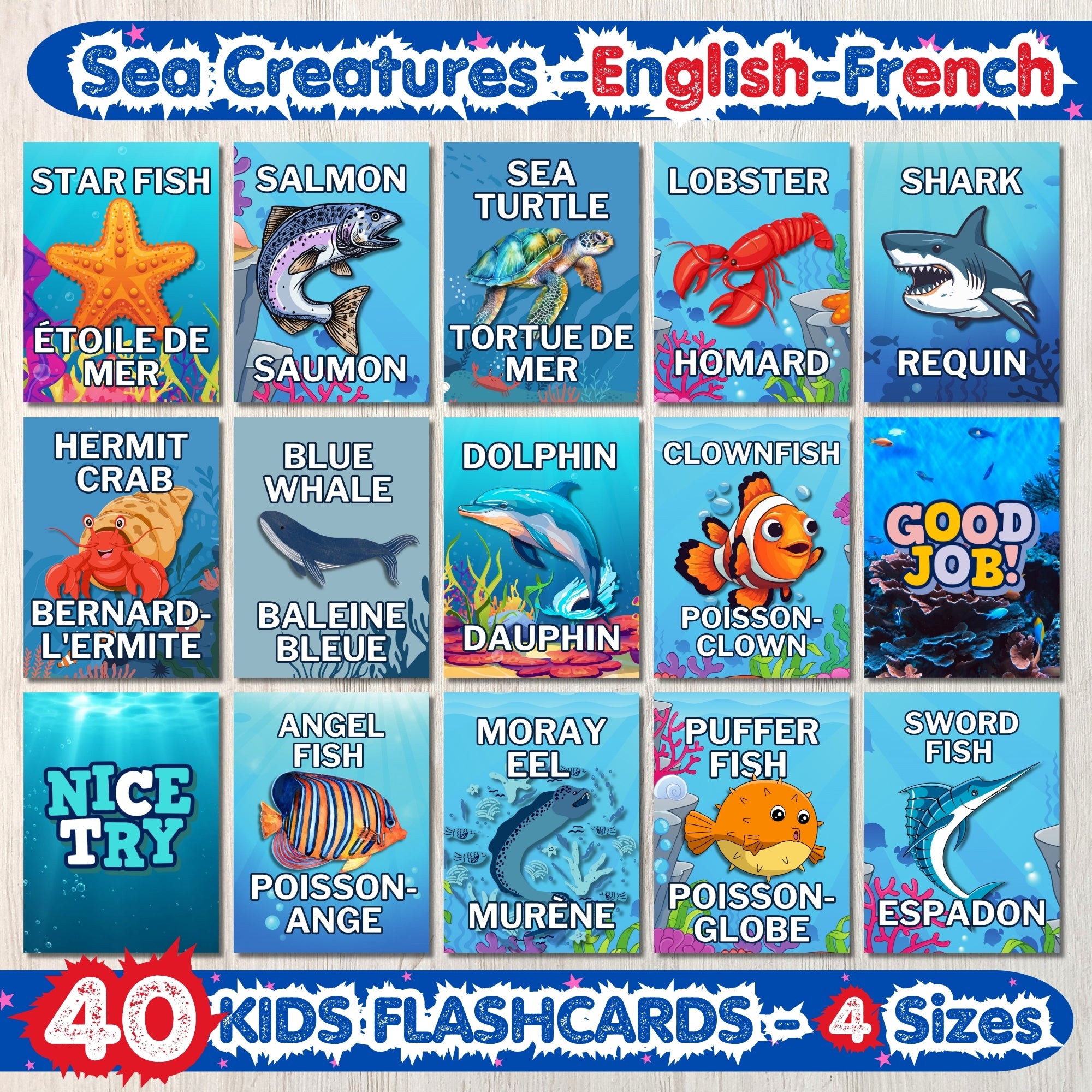 Sea Creatures English-French Flashcards