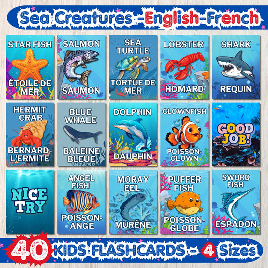 Cartes mémoire anglais-français sur les créatures marines