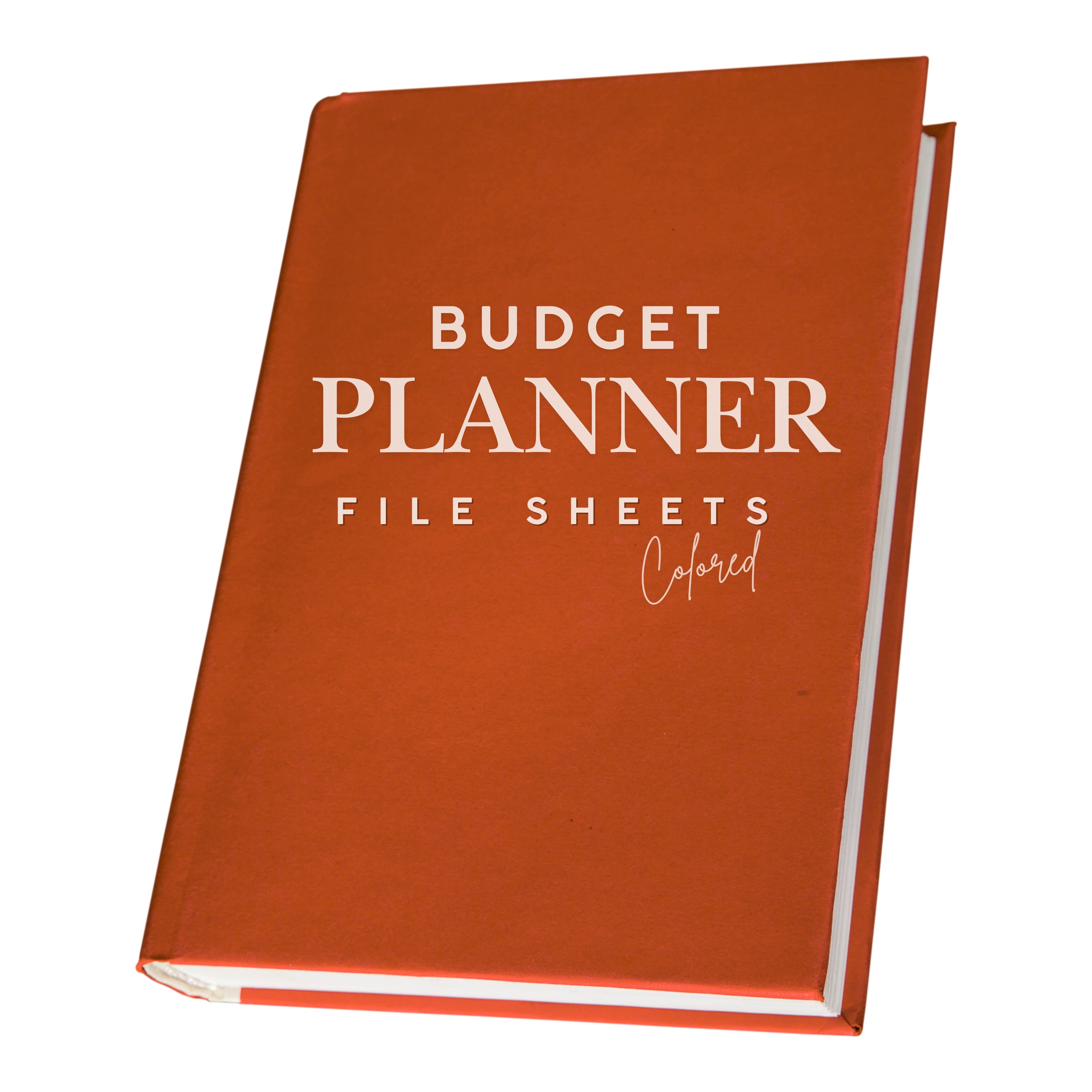 Rainbow Budget Planner Bundle