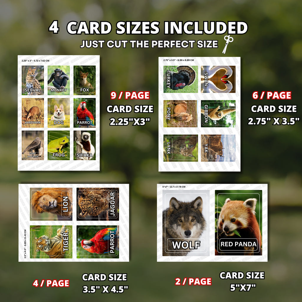 Animals Bundle Flashcards 110 Real Animals