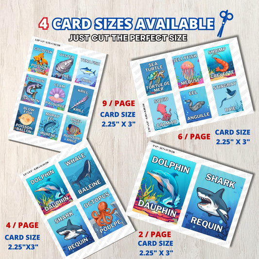 Cartes mémoire anglais-français sur les créatures marines