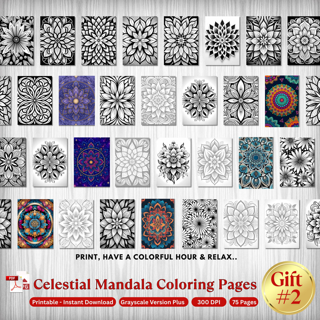 She Shift Bundle - 30% OFF