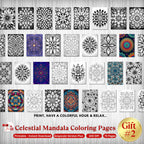 She Shift Bundle - 30% OFF