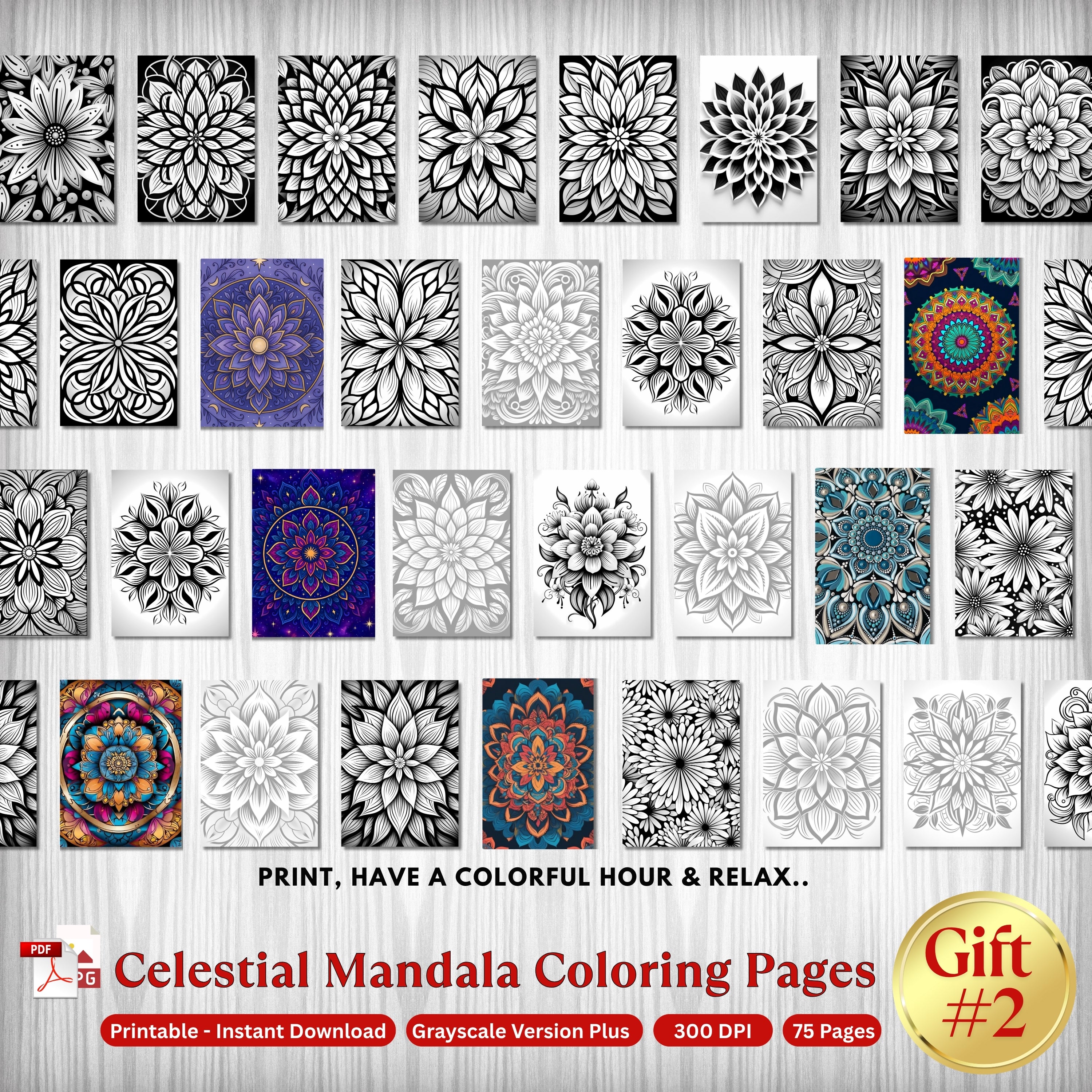 She Shift Bundle - 30% OFF