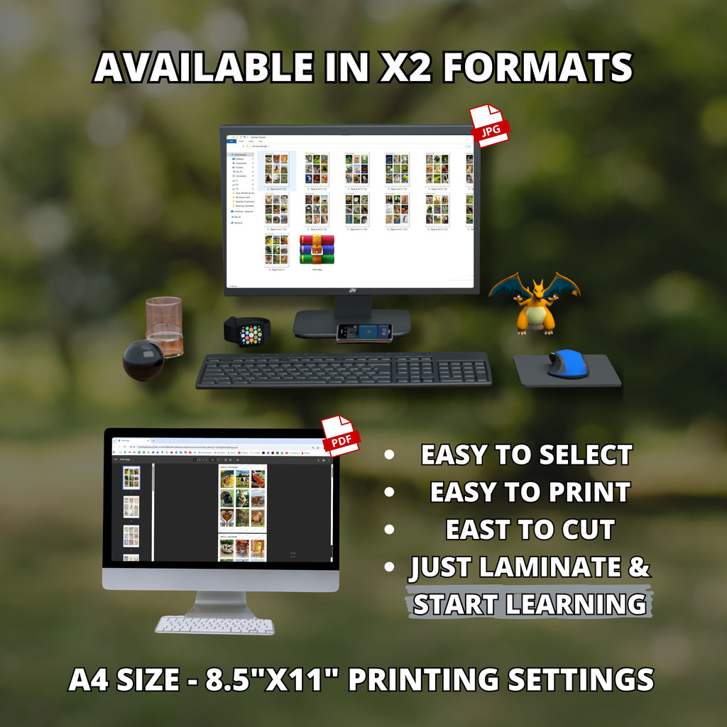 Animals Bundle Flashcards 110 Real Animals