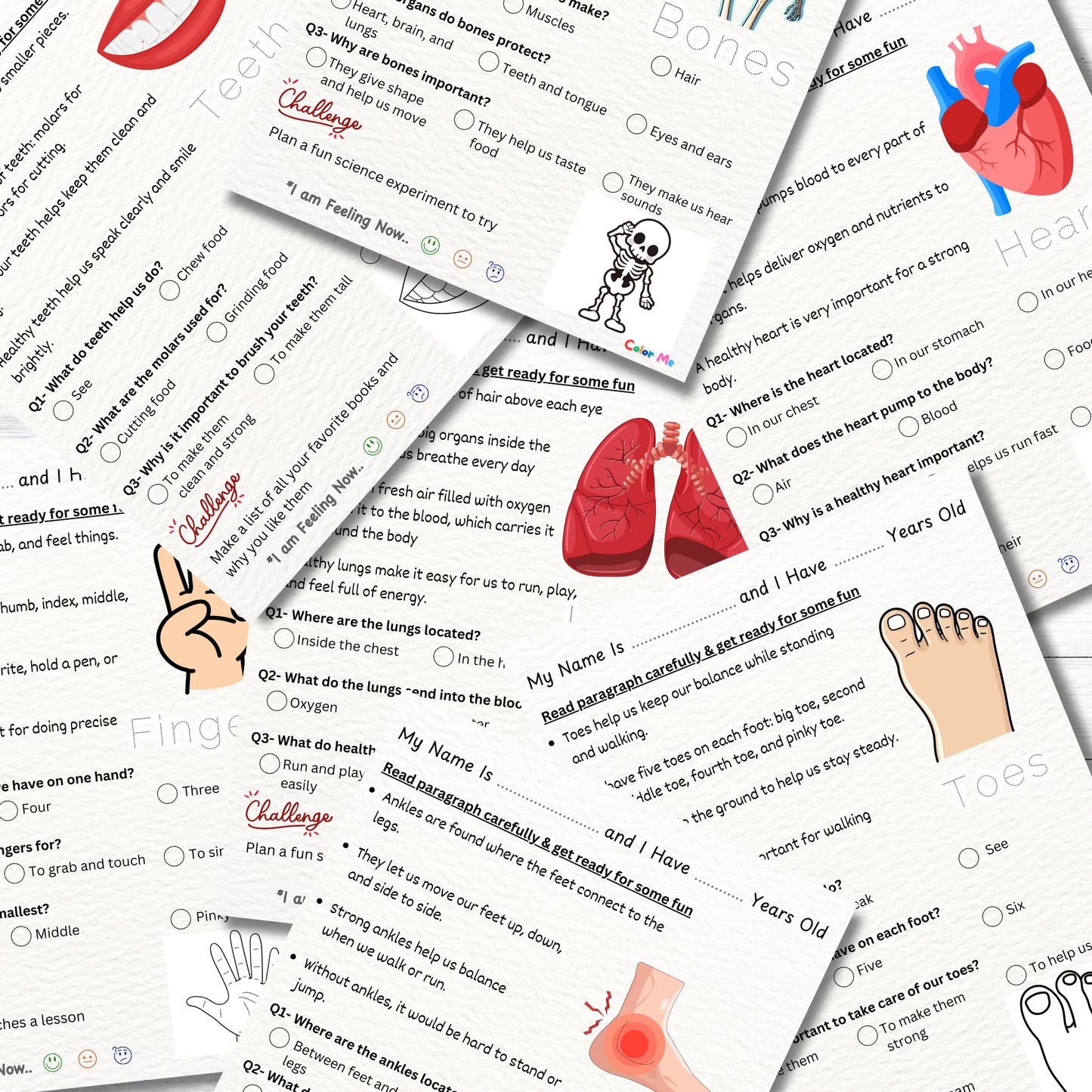 Learn About Body Parts