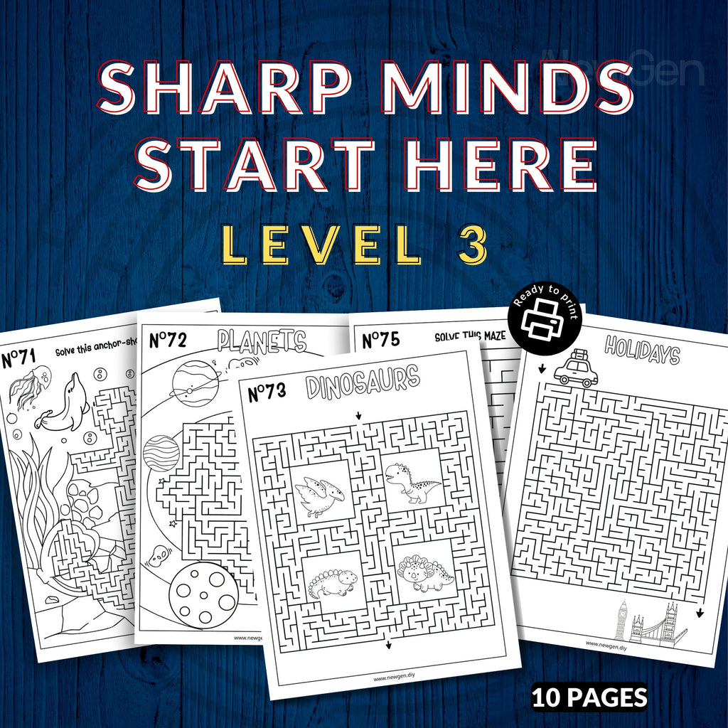 80 Mazes Fun Activity Sheets For Kids & Adults - 3 Levels