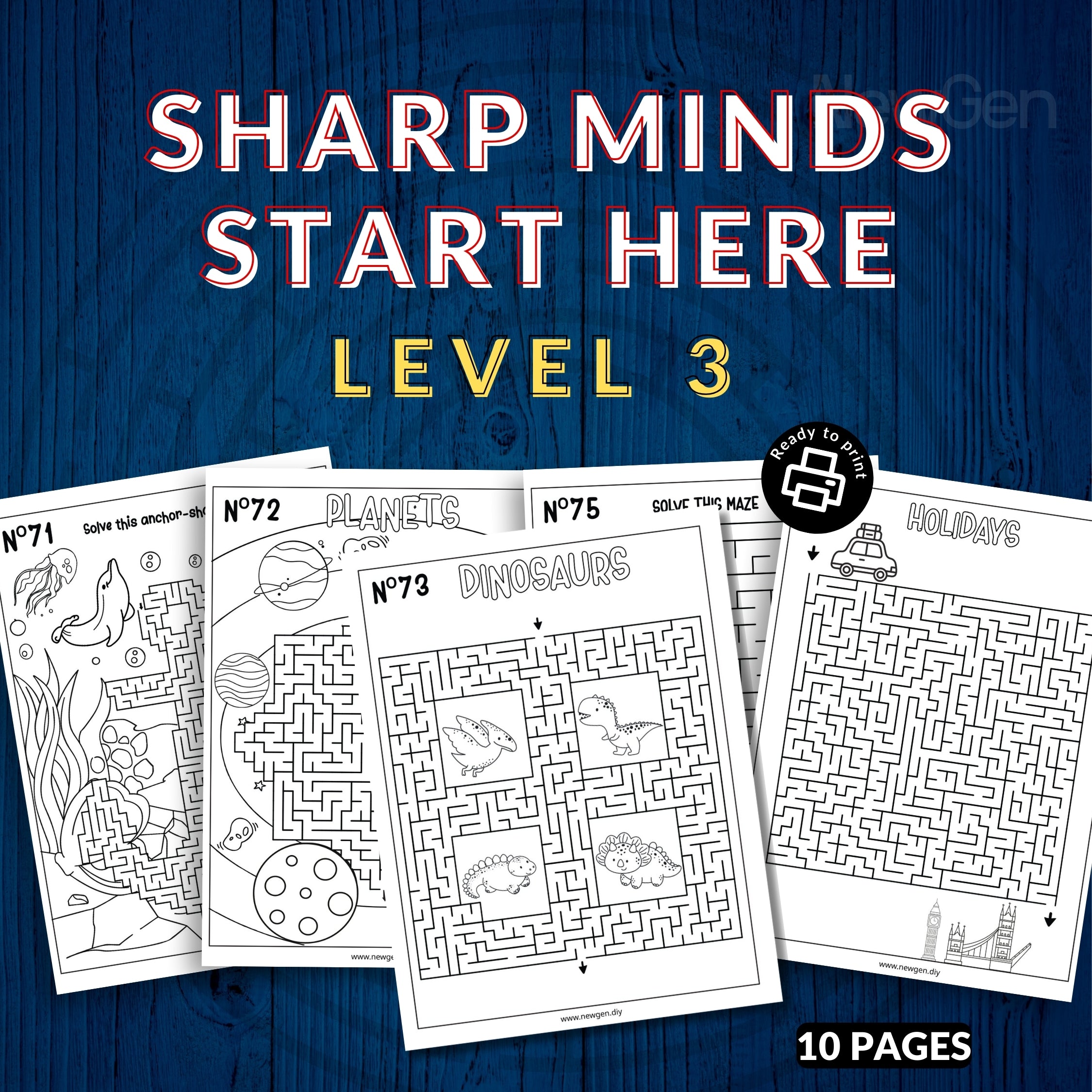 80 Mazes Fun Activity Sheets For Kids & Adults - 3 Levels