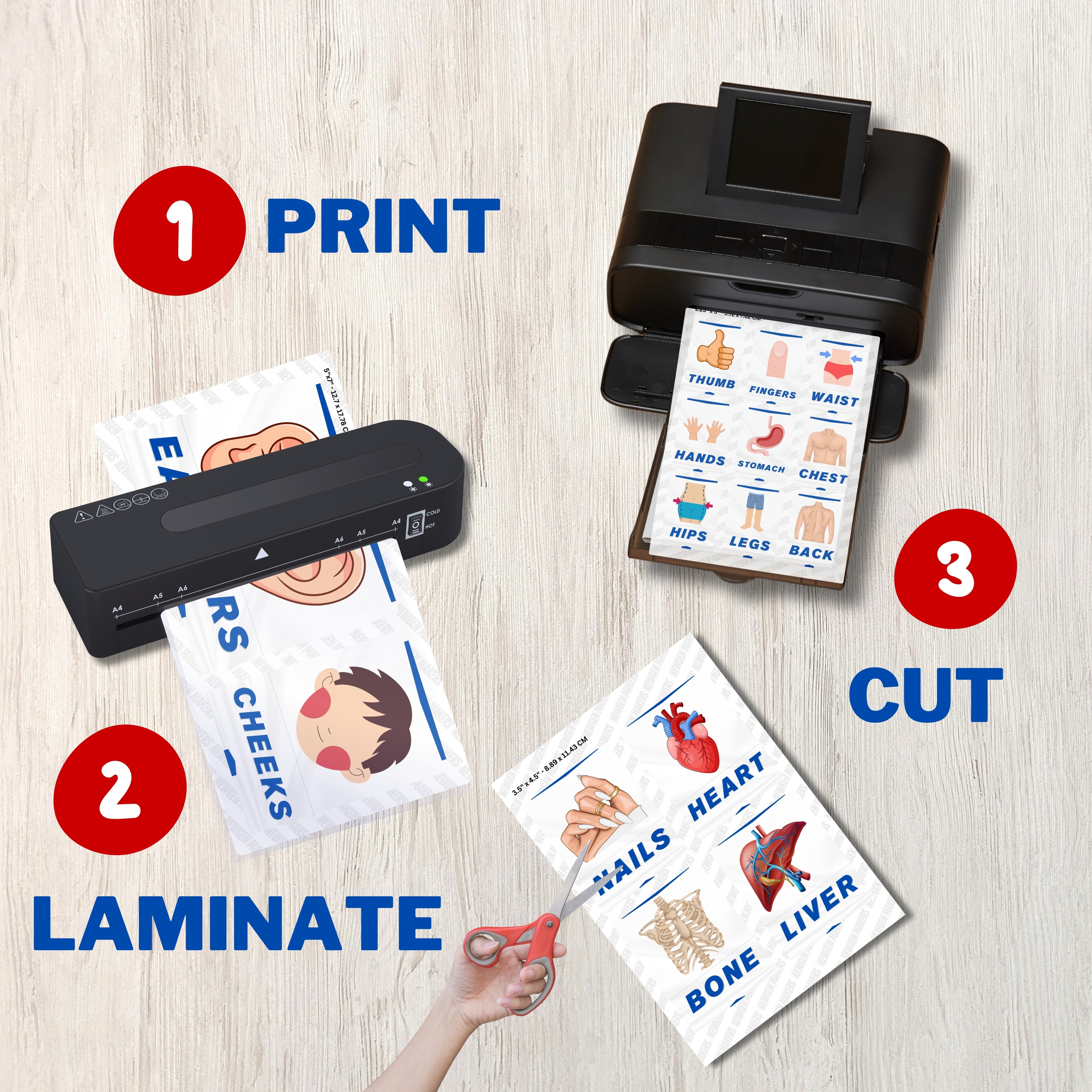 Body Parts Flashcards