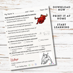 Learn About World Popular Festivals