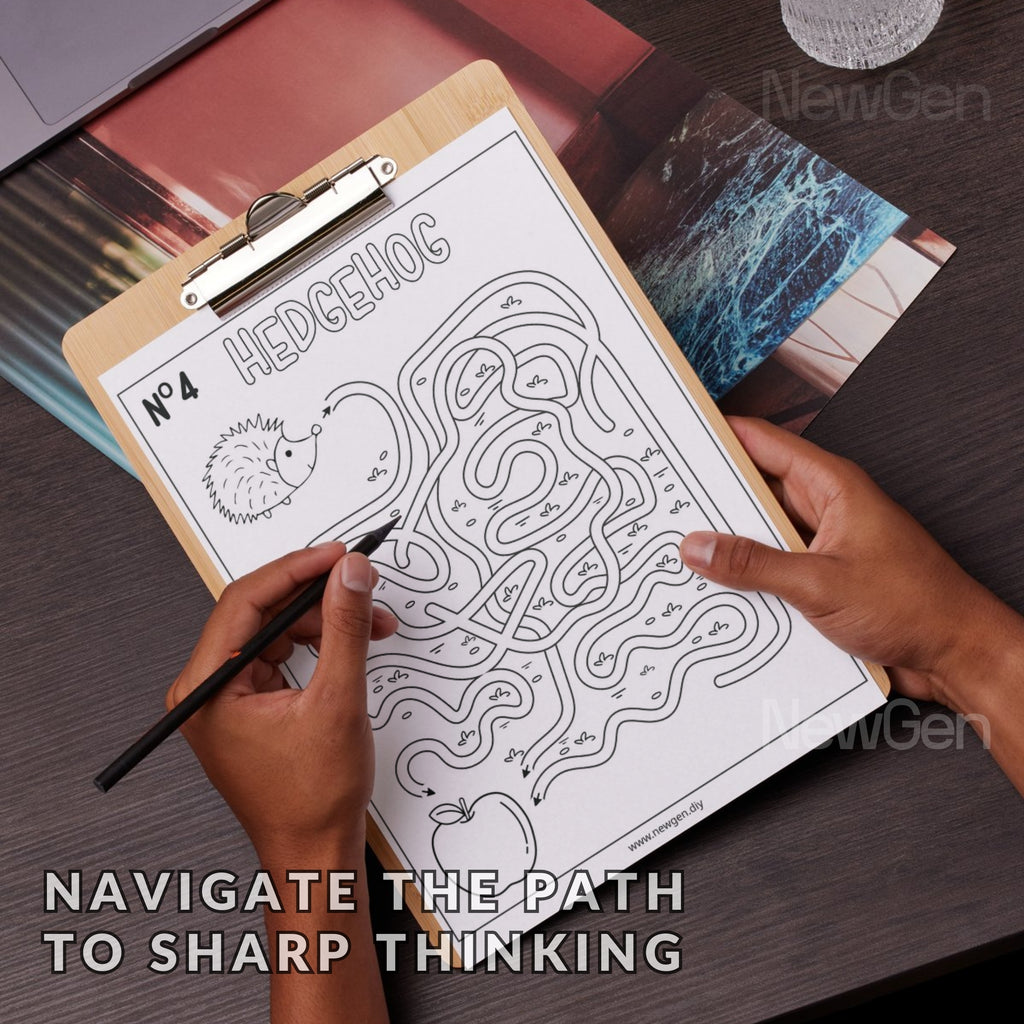 80 Mazes Fun Activity Sheets For Kids & Adults - 3 Levels