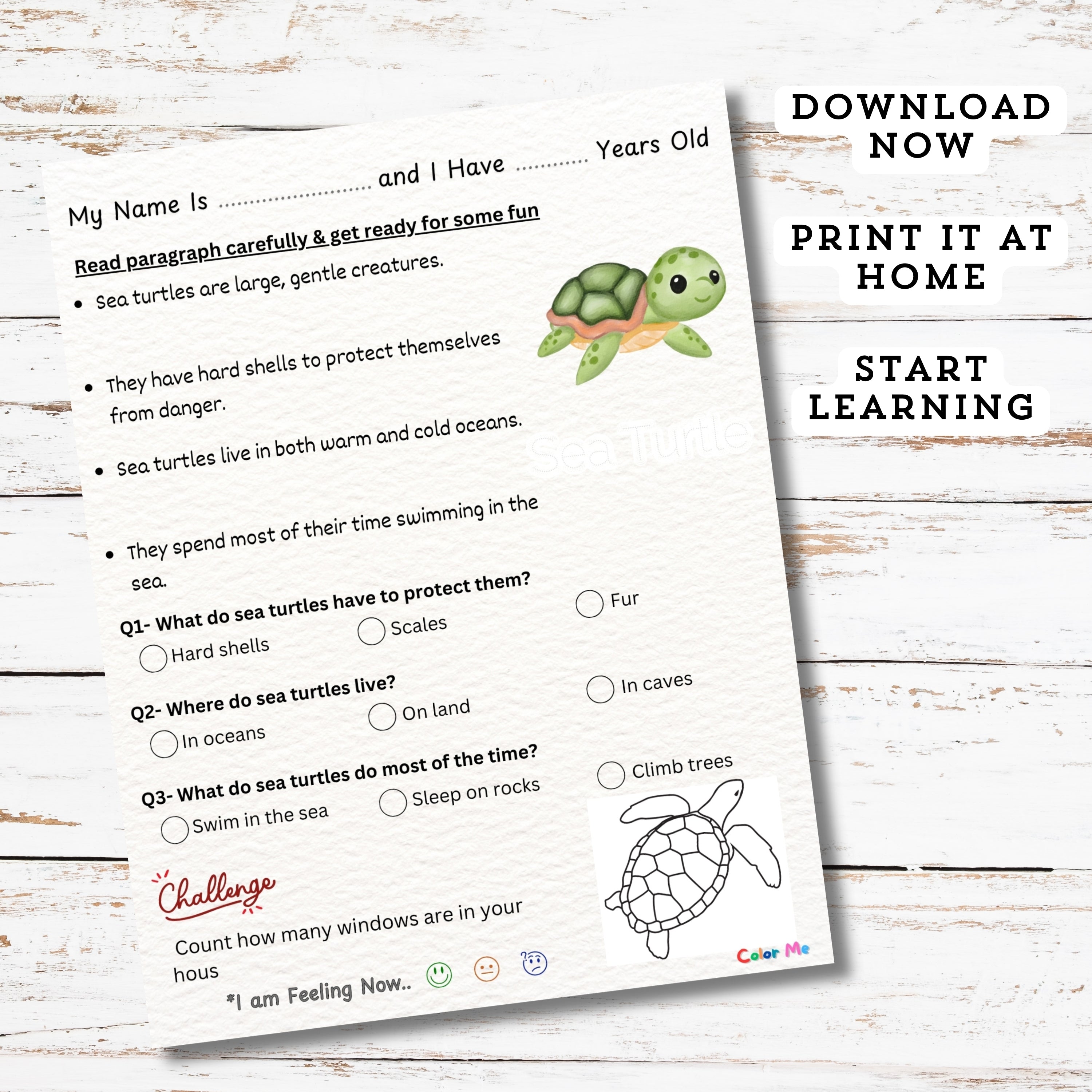 Learn About Underworld Sea Creatures