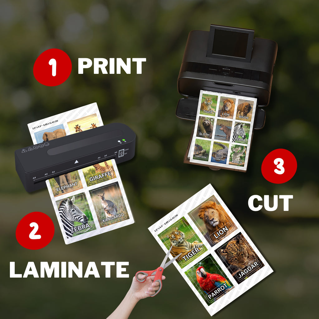 Animals Bundle Flashcards 110 Real Animals