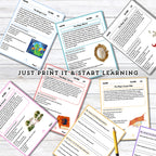 25 Different Stories Patch #24