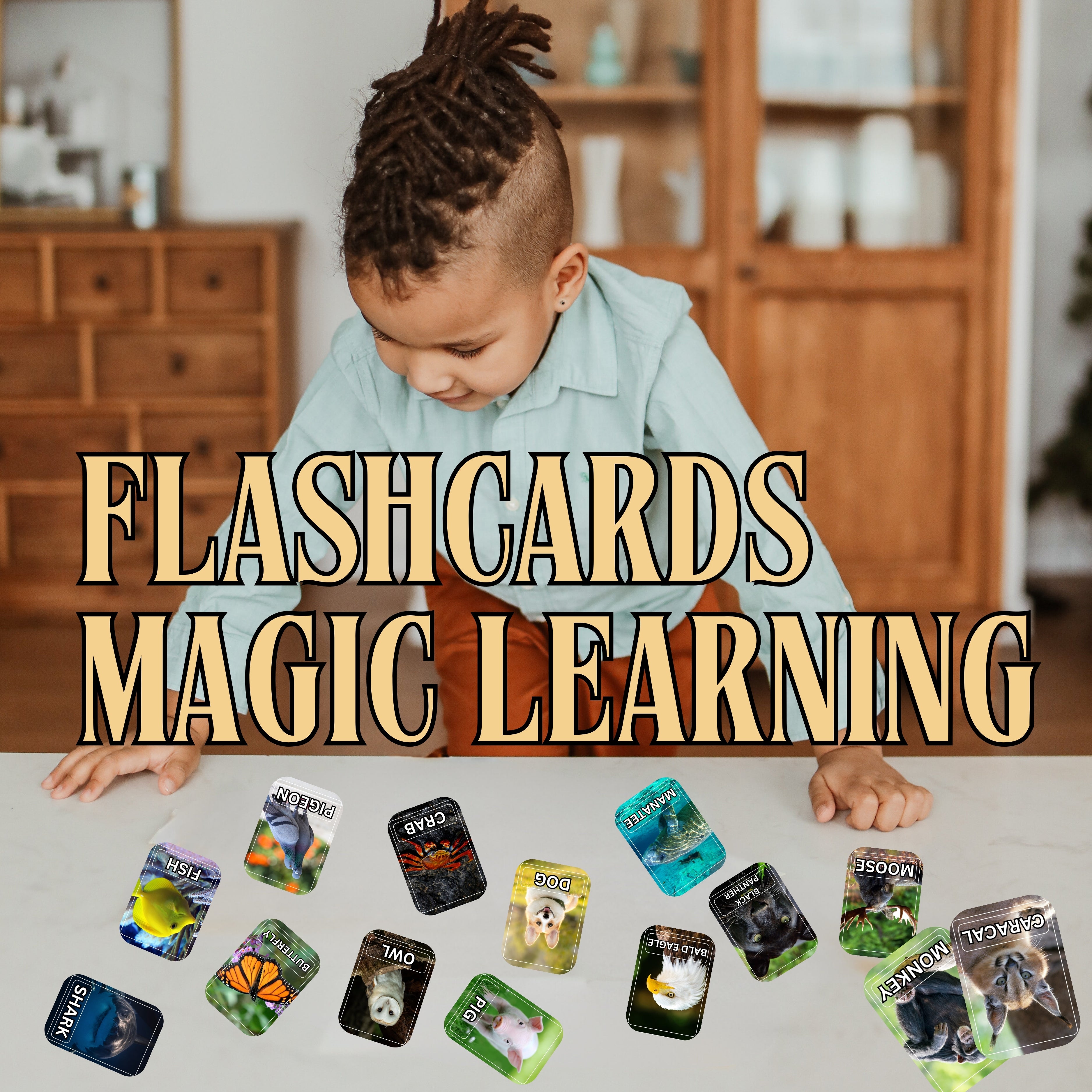 Animals Bundle Flashcards 110 Real Animals