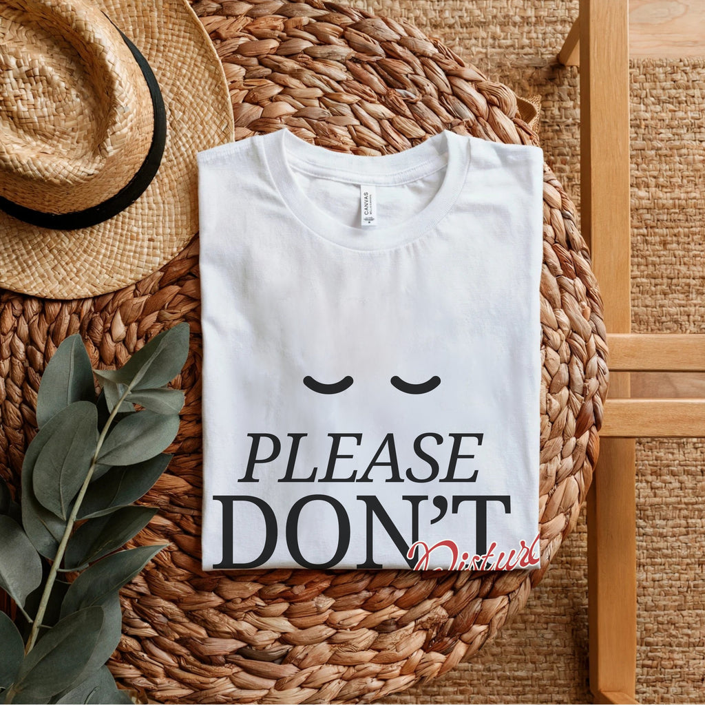 Please Don't Disturb - Peaceful Introvert Statement Artwork