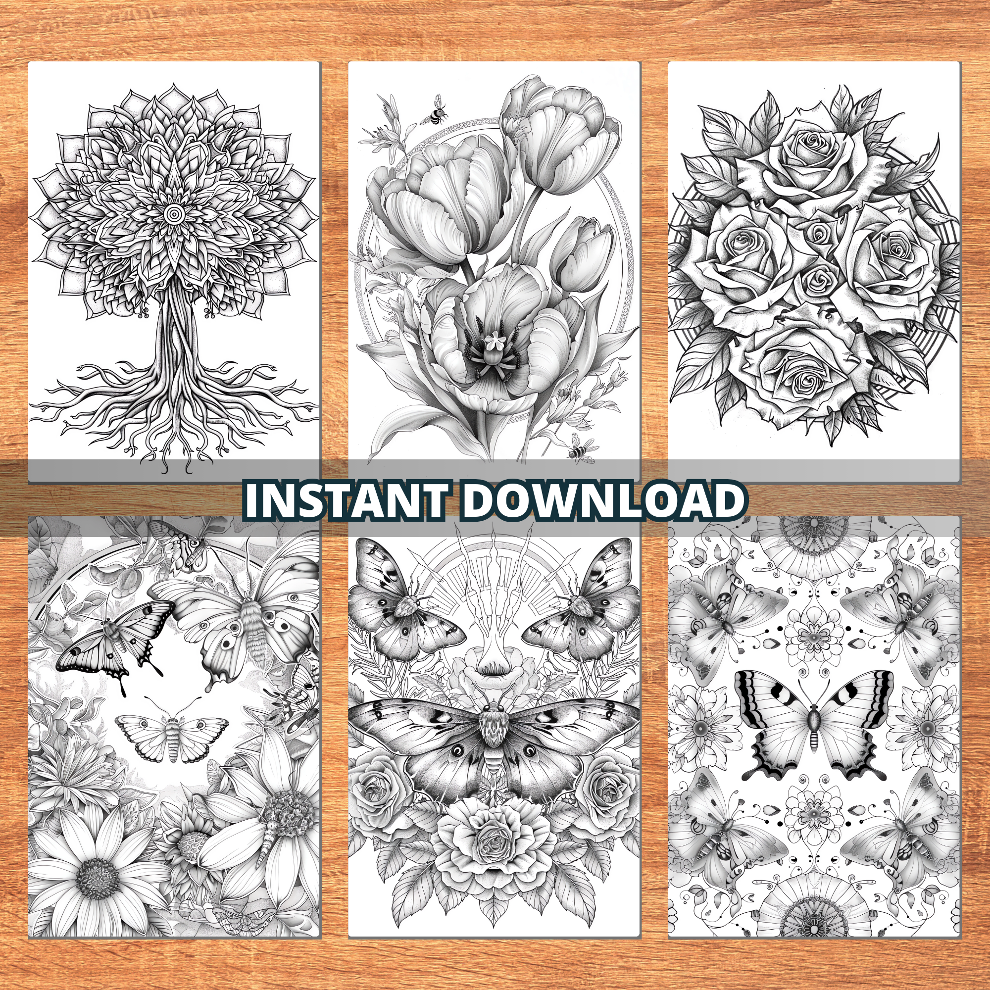 Rose's Beautiful Butterflies Coloring Pages
