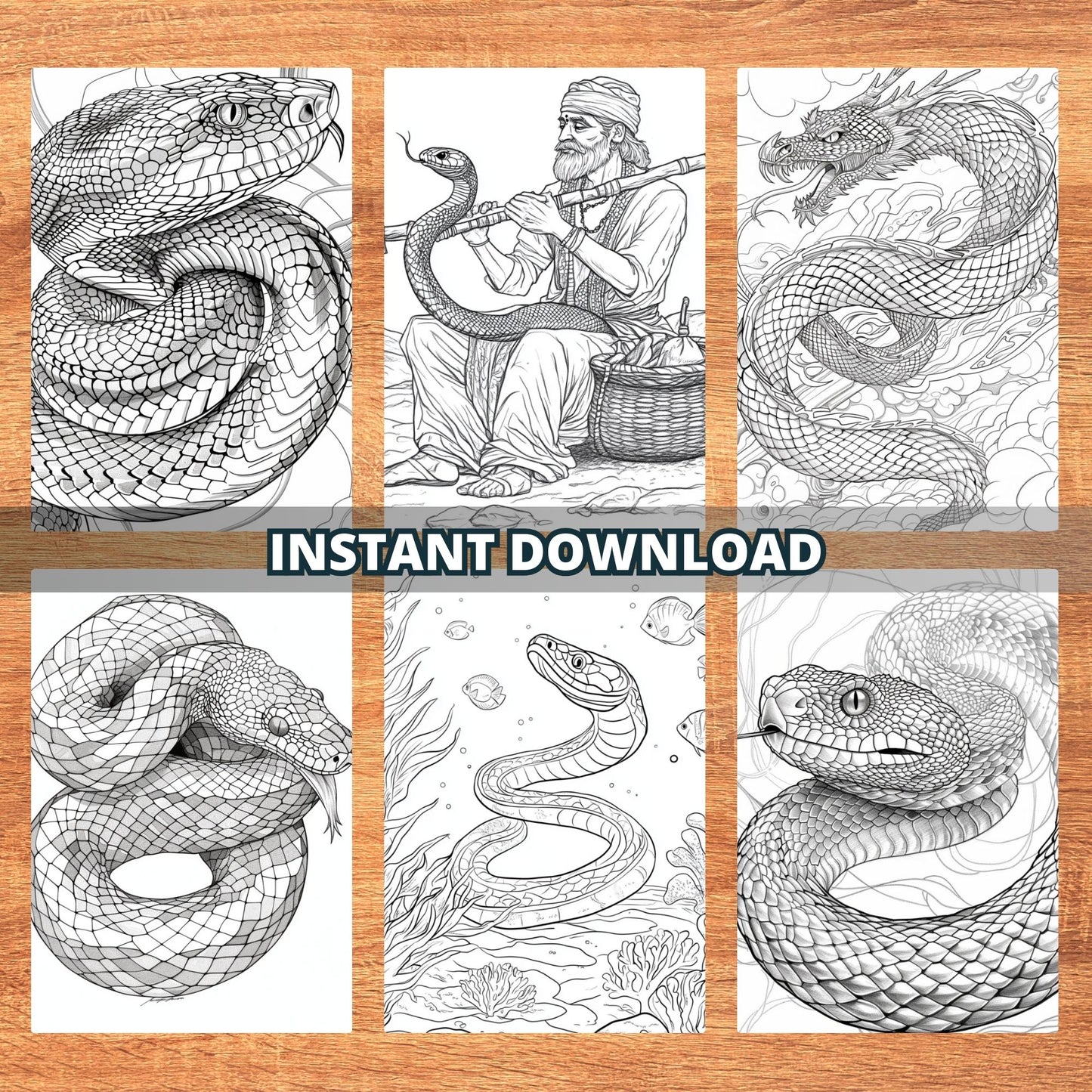 Coloriages de serpents sensationnels