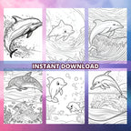 Dolphin Play Coloring Pages