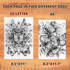 Rose's Beautiful Butterflies Coloring Pages